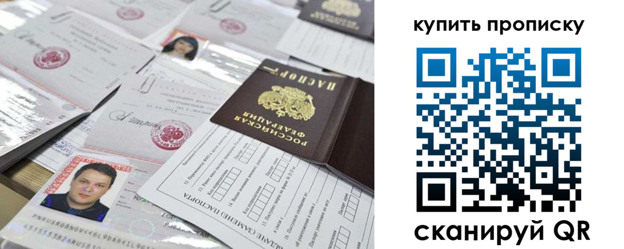 прописка гарантия в Ковдоре